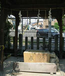 20110612_toki3.JPG