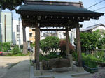 20110612_mizu2.JPG