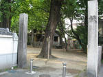 20110714_kanzaki3.JPG