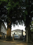 20110714_kanzaki4.JPG