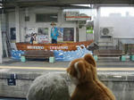 20110807-7.JPG