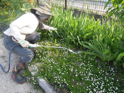 DSCN3772.JPG