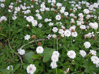 DSCN3773.JPG