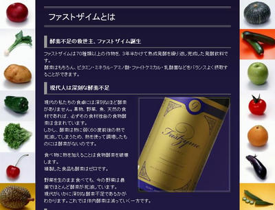 ファストザイム15750円