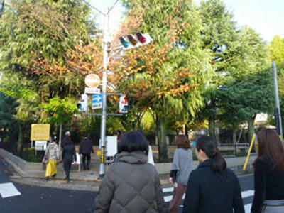 朝のルーシーダットン 西陣