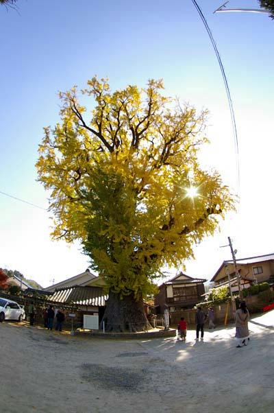 db045804.jpg