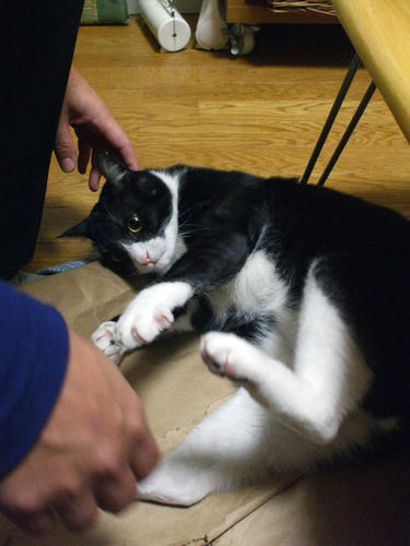 DSCF2051.jpg