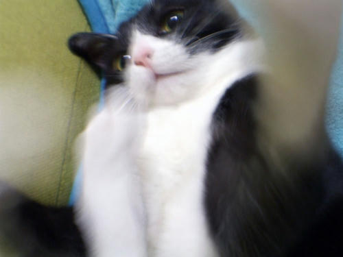 DSCF2103.jpg