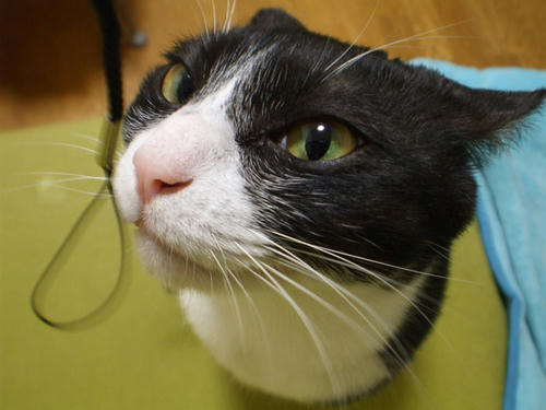 DSCF2114.jpg