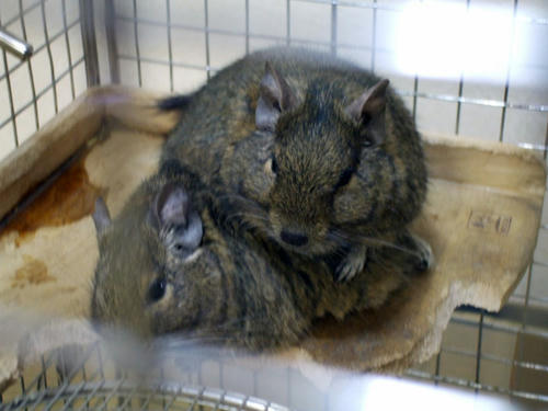 DSCF2138.jpg