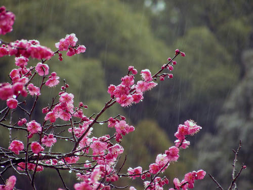 DSCN0439.jpg