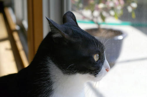 IMGP2236.JPG