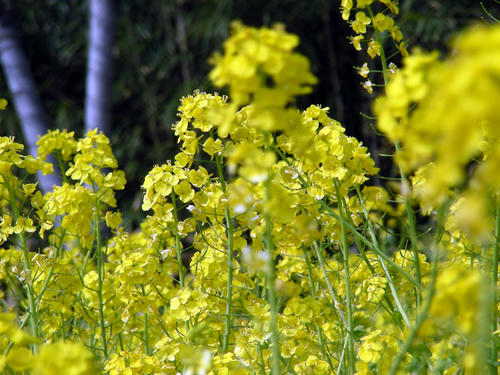 DSCN0630.JPG