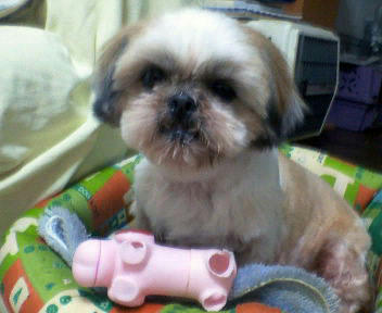 200803062131000.jpg