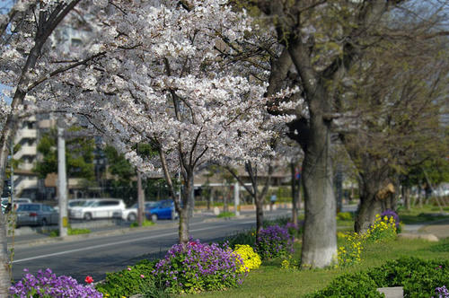 IMGP2552.JPG