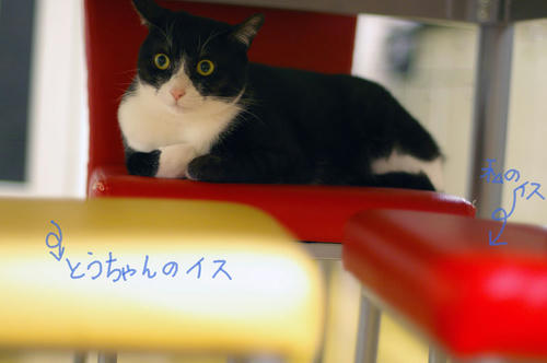 IMGP2559.JPG