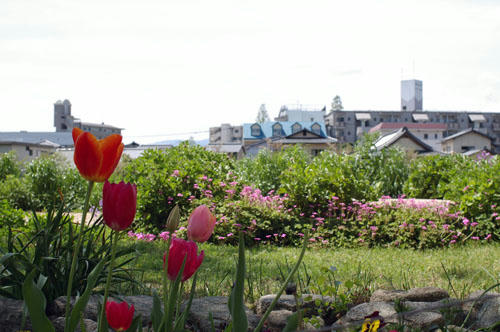 IMGP0051.JPG