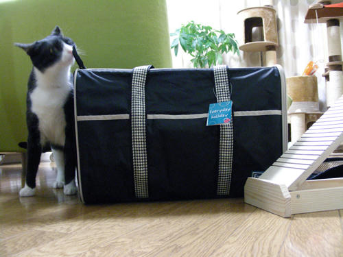 DSCN0882.JPG