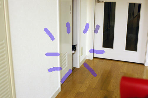 IMGP0277.JPG