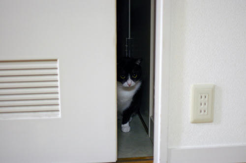 IMGP0305.JPG