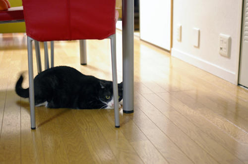 IMGP0306.JPG