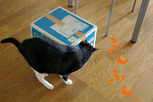 IMGP2843.JPG