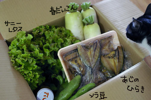 IMGP2854.JPG