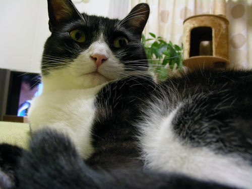 DSCN0947.JPG