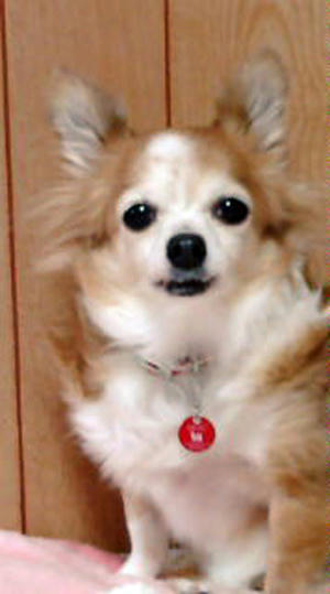 decoimage_M002.jpg
