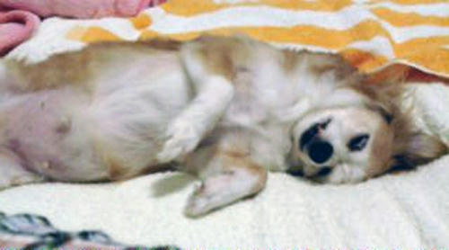 decoimage_M003.jpg