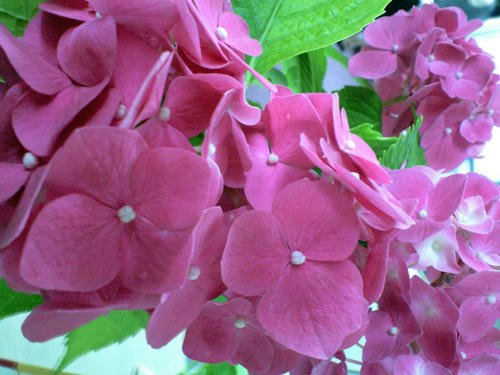 CA390039.JPG
