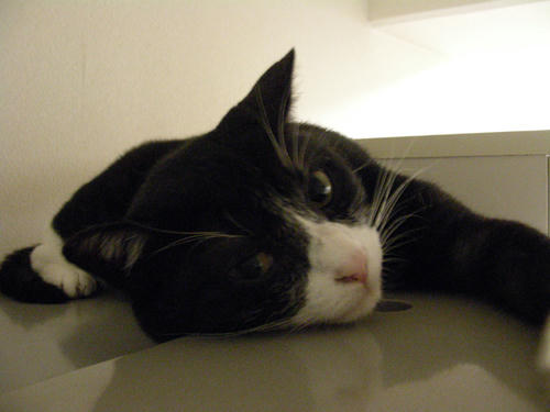 DSCN1204.JPG