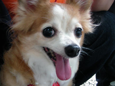 DSCN1207.JPG