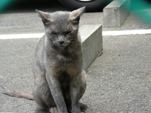 DSCN1277.JPG
