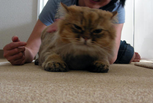 DSCN1394.JPG