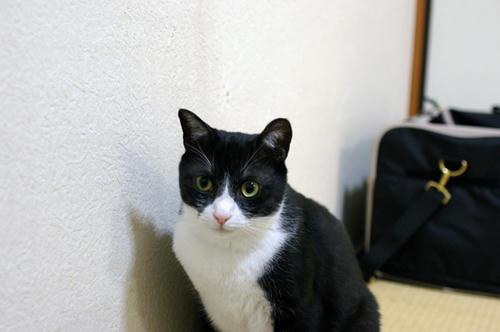 IMGP0672.JPG
