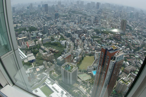 IMGP0720.JPG