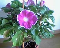 080724_083500.jpg