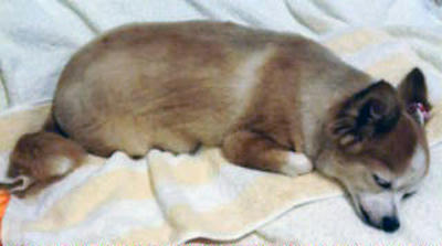 decoimage_M004.jpg