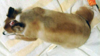 decoimage_M006.jpg