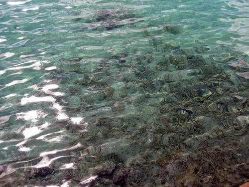 DSCN1501.JPG