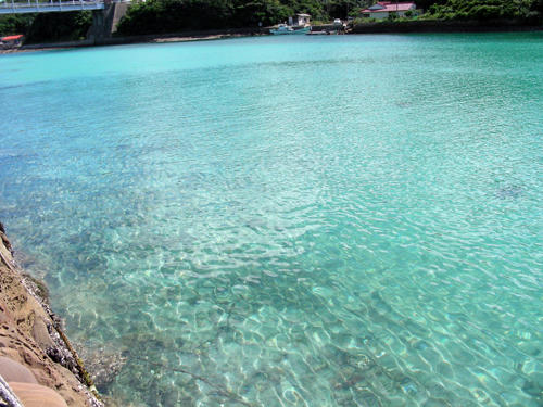 DSCN1506.JPG