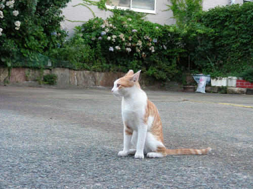 DSCN1527.JPG