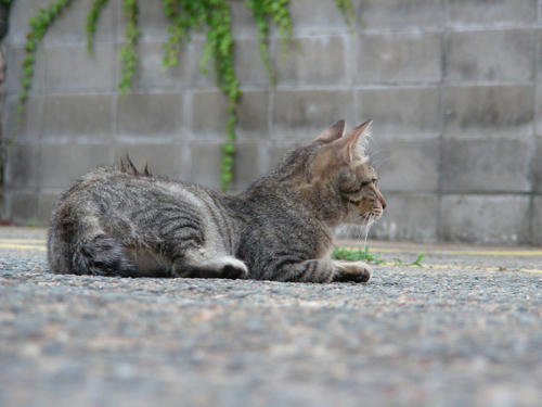 DSCN1528.JPG