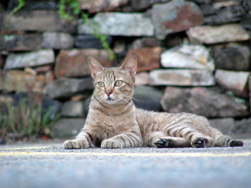 DSCN1529.JPG