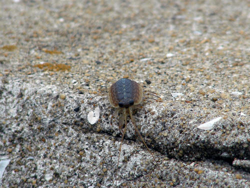 DSCN1535.JPG