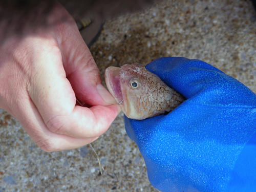 DSCN1539.JPG