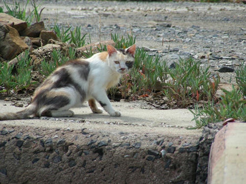 DSCN1543.JPG