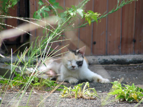 DSCN1545.JPG