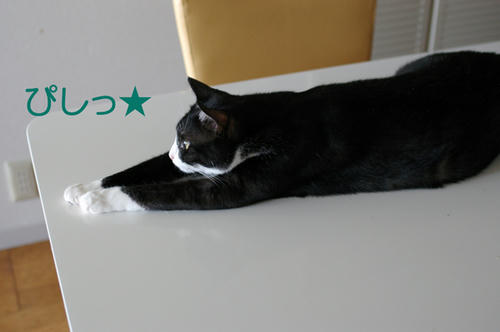 IMGP0827.JPG